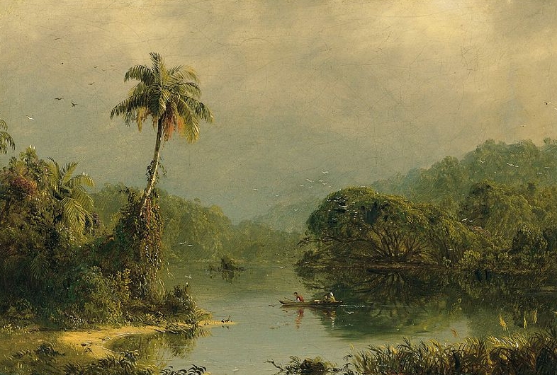 Tropical Landscape